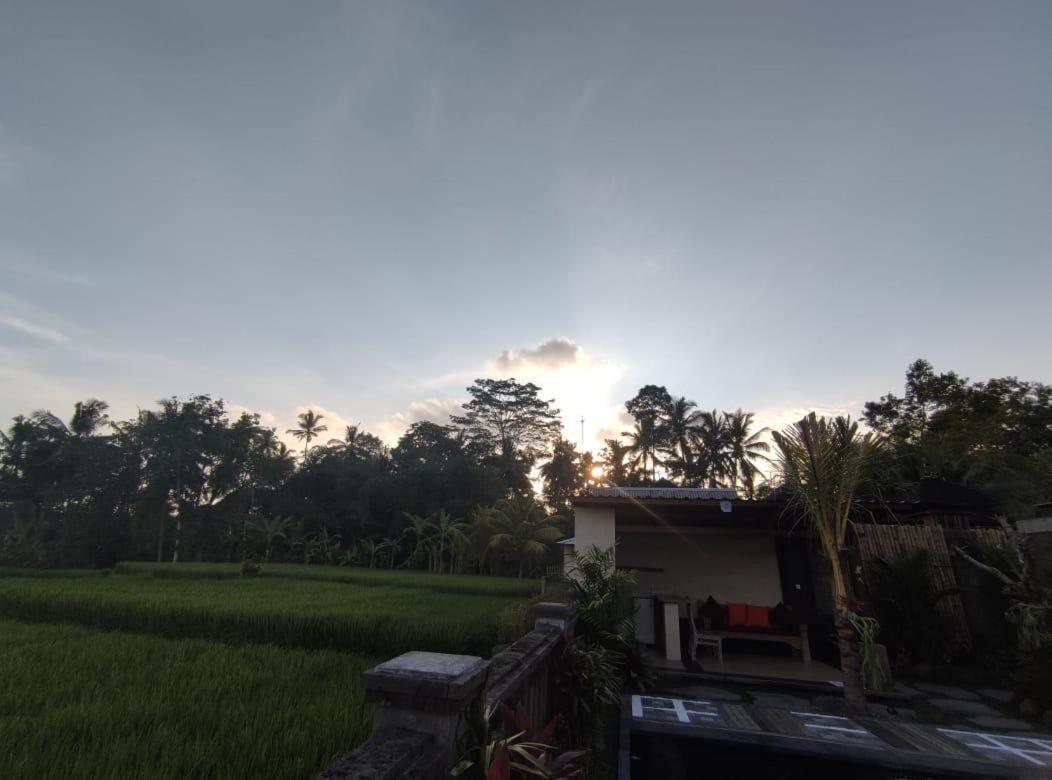 Anggarakasih Ubud Villa Eksteriør bilde