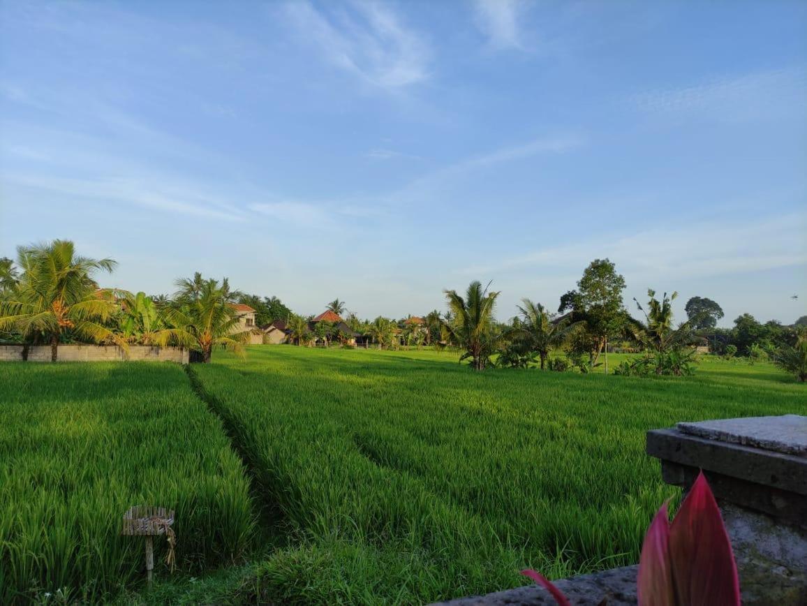 Anggarakasih Ubud Villa Eksteriør bilde